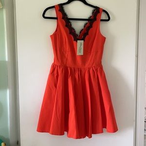 NWT Pretty Dress Company Dress - Size UK12